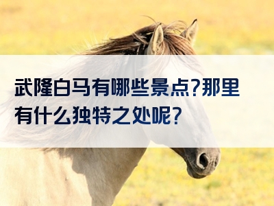 武隆白马有哪些景点？那里有什么独特之处呢？