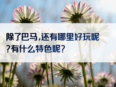 除了巴马，还有哪里好玩呢？有什么特色呢？