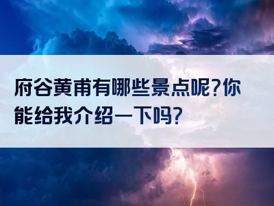 府谷黄甫有哪些景点呢？你能给我介绍一下吗？