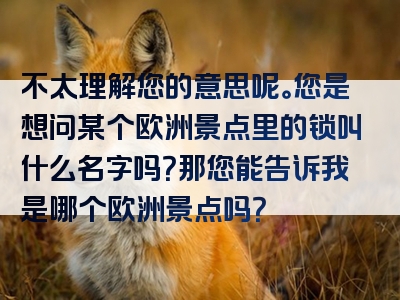 不太理解您的意思呢。您是想问某个欧洲景点里的锁叫什么名字吗？那您能告诉我是哪个欧洲景点吗？