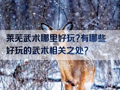 莱芜武术哪里好玩？有哪些好玩的武术相关之处？