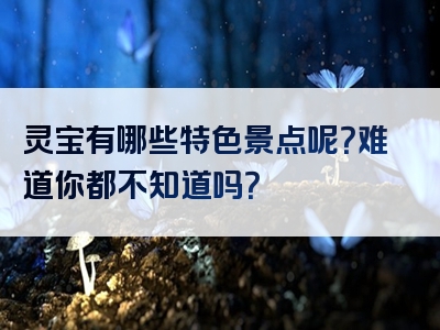灵宝有哪些特色景点呢？难道你都不知道吗？
