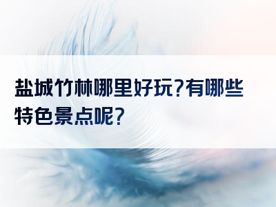 盐城竹林哪里好玩？有哪些特色景点呢？