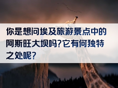 你是想问埃及旅游景点中的阿斯旺大坝吗？它有何独特之处呢？