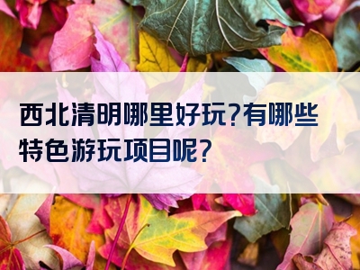 西北清明哪里好玩？有哪些特色游玩项目呢？