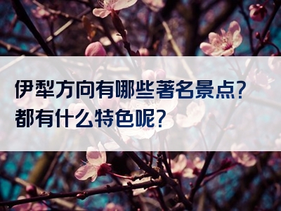 伊犁方向有哪些著名景点？都有什么特色呢？