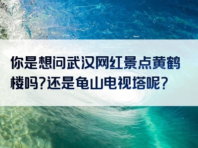 你是想问武汉网红景点黄鹤楼吗？还是龟山电视塔呢？
