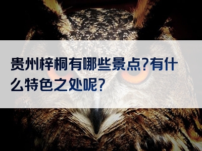 贵州梓桐有哪些景点？有什么特色之处呢？