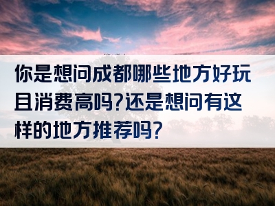 你是想问成都哪些地方好玩且消费高吗？还是想问有这样的地方推荐吗？