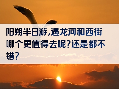 阳朔半日游，遇龙河和西街哪个更值得去呢？还是都不错？