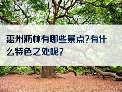 惠州沥林有哪些景点？有什么特色之处呢？