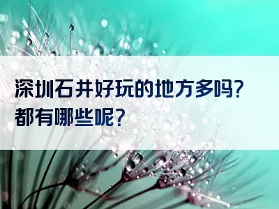 深圳石井好玩的地方多吗？都有哪些呢？