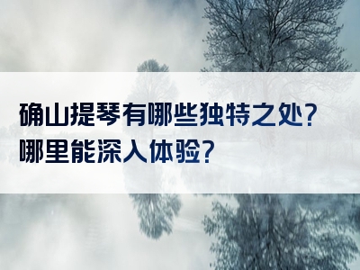 确山提琴有哪些独特之处？哪里能深入体验？