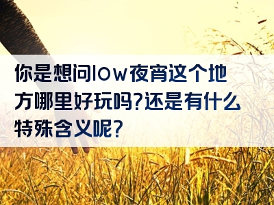 你是想问low夜宵这个地方哪里好玩吗？还是有什么特殊含义呢？