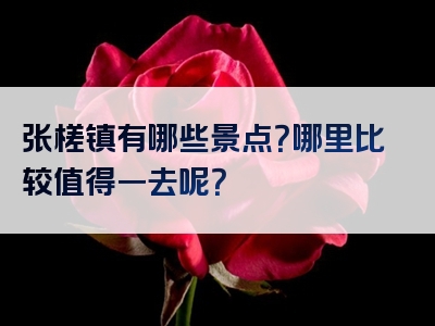 张槎镇有哪些景点？哪里比较值得一去呢？