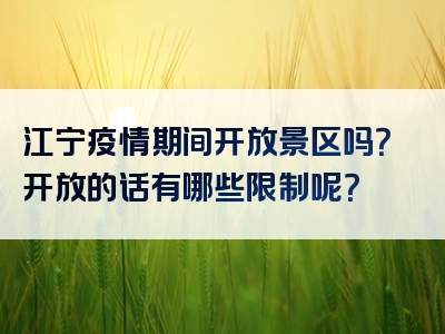 江宁疫情期间开放景区吗？开放的话有哪些限制呢？