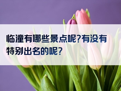 临潼有哪些景点呢？有没有特别出名的呢？