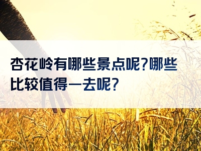 杏花岭有哪些景点呢？哪些比较值得一去呢？