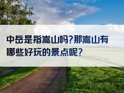 中岳是指嵩山吗？那嵩山有哪些好玩的景点呢？