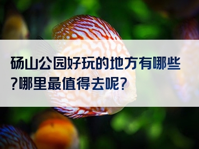 砀山公园好玩的地方有哪些？哪里最值得去呢？