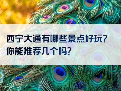 西宁大通有哪些景点好玩？你能推荐几个吗？