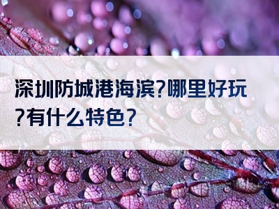 深圳防城港海滨？哪里好玩？有什么特色？