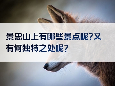 景忠山上有哪些景点呢？又有何独特之处呢？