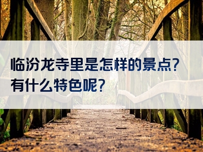 临汾龙寺里是怎样的景点？有什么特色呢？