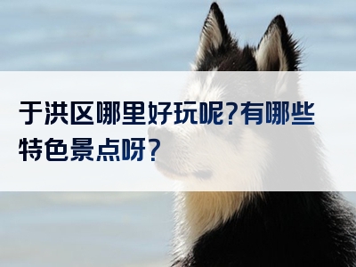 于洪区哪里好玩呢？有哪些特色景点呀？