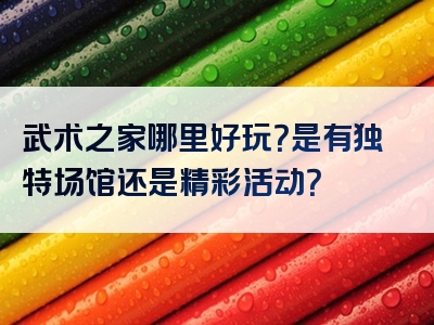 武术之家哪里好玩？是有独特场馆还是精彩活动？
