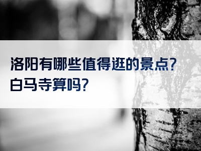 洛阳有哪些值得逛的景点？白马寺算吗？