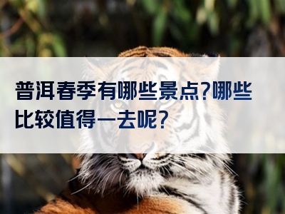 普洱春季有哪些景点？哪些比较值得一去呢？