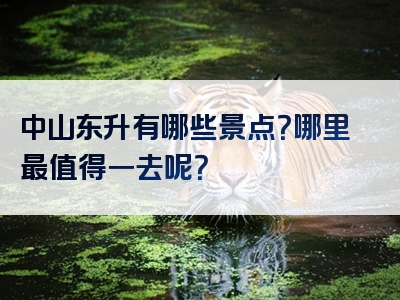 中山东升有哪些景点？哪里最值得一去呢？