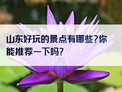 山东好玩的景点有哪些？你能推荐一下吗？