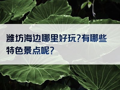 潍坊海边哪里好玩？有哪些特色景点呢？