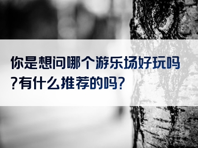 你是想问哪个游乐场好玩吗？有什么推荐的吗？