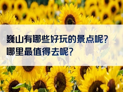 巍山有哪些好玩的景点呢？哪里最值得去呢？