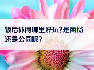 饭后休闲哪里好玩？是商场还是公园呢？