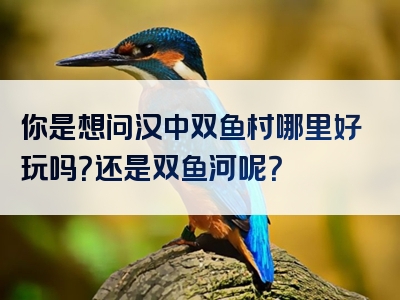 你是想问汉中双鱼村哪里好玩吗？还是双鱼河呢？