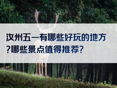 汝州五一有哪些好玩的地方？哪些景点值得推荐？