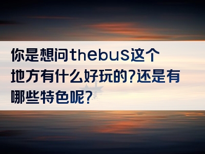 你是想问thebus这个地方有什么好玩的？还是有哪些特色呢？