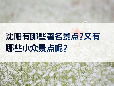 沈阳有哪些著名景点？又有哪些小众景点呢？