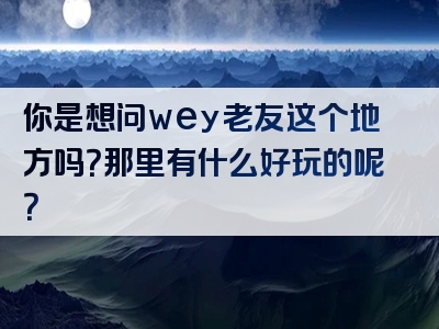 你是想问wey老友这个地方吗？那里有什么好玩的呢？