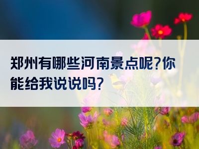 郑州有哪些河南景点呢？你能给我说说吗？