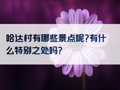 哈达村有哪些景点呢？有什么特别之处吗？