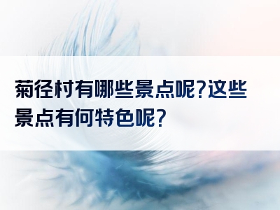 菊径村有哪些景点呢？这些景点有何特色呢？