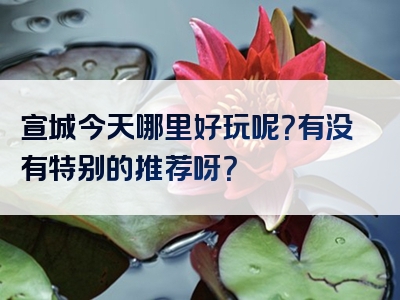 宣城今天哪里好玩呢？有没有特别的推荐呀？