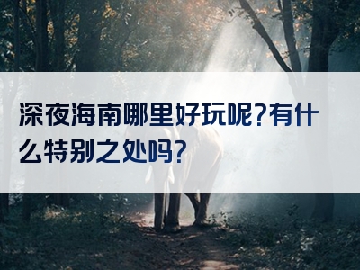 深夜海南哪里好玩呢？有什么特别之处吗？