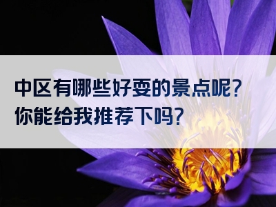 中区有哪些好耍的景点呢？你能给我推荐下吗？