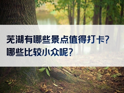 芜湖有哪些景点值得打卡？哪些比较小众呢？